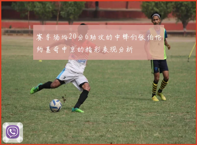 赛季场均20分6助攻的中锋们张伯伦约基奇申京的精彩表现分析
