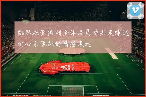 凯恩祝贺热刺全体成员特别是球迷们心系保级的情感表达